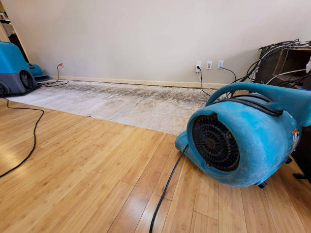 Professional Flood Damage Cleanup technician working in Sunfield, MI